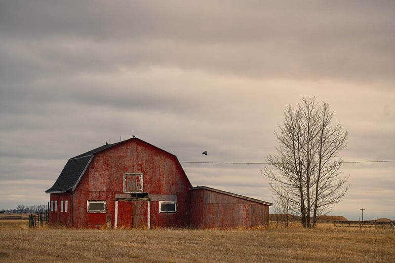 Rustic Barn