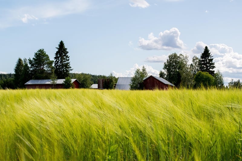 The Barns at Cooper Molera